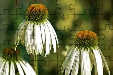 OK jigsaw puzzle