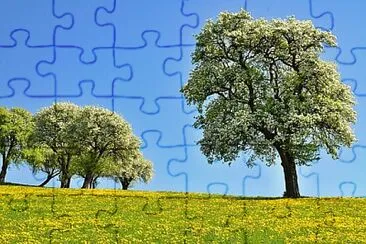 Foto jigsaw puzzle