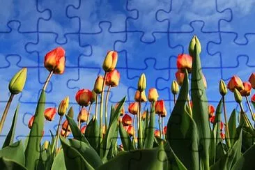 OK jigsaw puzzle