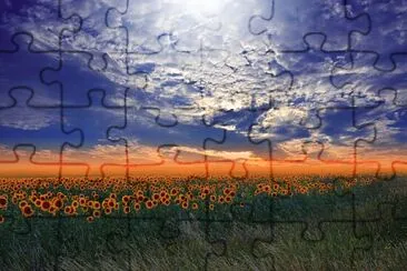 Campo de girassÃ³is jigsaw puzzle