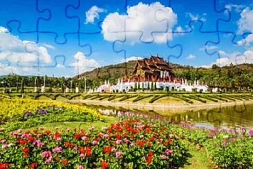 1 jigsaw puzzle