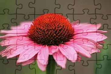 OK jigsaw puzzle