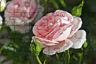 OK jigsaw puzzle