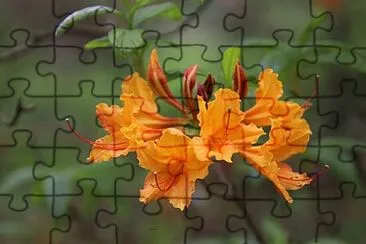 OK jigsaw puzzle