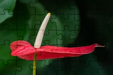 OK jigsaw puzzle