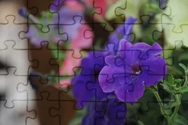 OK jigsaw puzzle