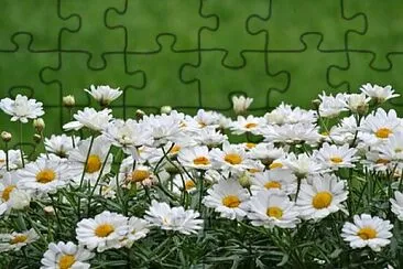 OK jigsaw puzzle