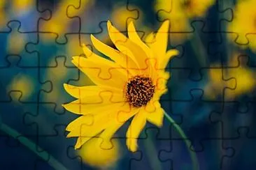 OK jigsaw puzzle