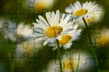 OK jigsaw puzzle