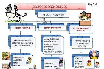 Sectores y actividades economicas