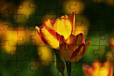 OK jigsaw puzzle