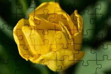 OK jigsaw puzzle