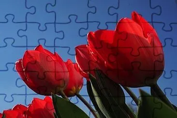 OK jigsaw puzzle