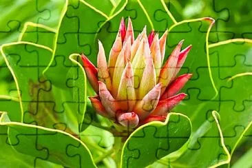 OK jigsaw puzzle