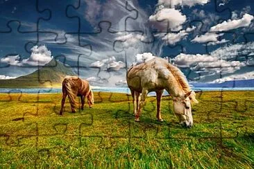 Toy jigsaw puzzle