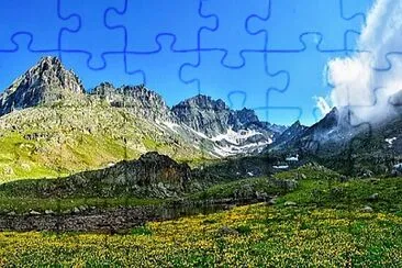 Toy jigsaw puzzle