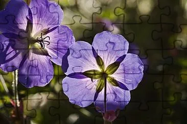 OK jigsaw puzzle