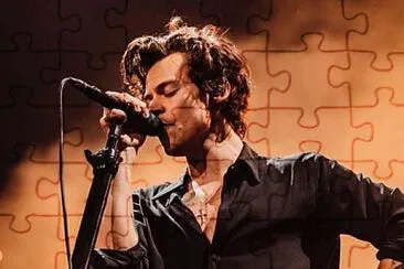 Harry Styles jigsaw puzzle