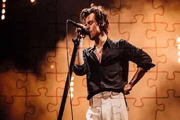 Harry Styles jigsaw puzzle