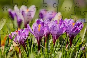 OK jigsaw puzzle