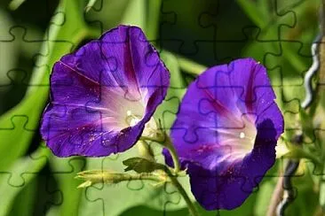 OK jigsaw puzzle