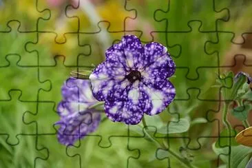 OK jigsaw puzzle