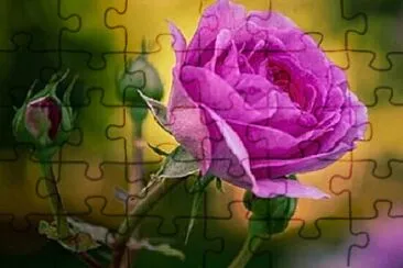 OK jigsaw puzzle