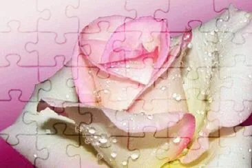 OK jigsaw puzzle