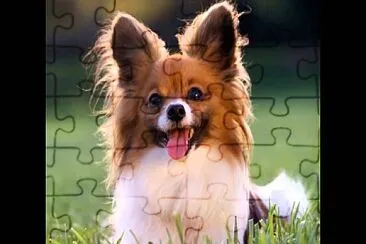 DOG jigsaw puzzle