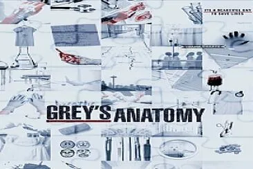 Grey 's Anatomy