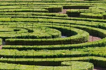 Jardin, Vaux-le-Vicomte, 77