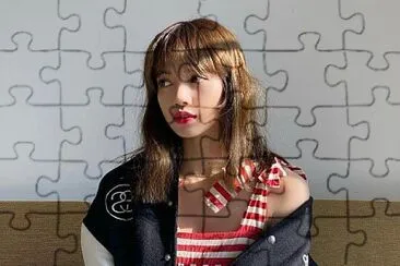 LISA jigsaw puzzle