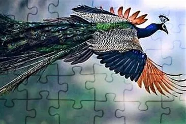 ab3 jigsaw puzzle