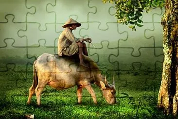 Foto jigsaw puzzle