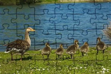 Foto jigsaw puzzle