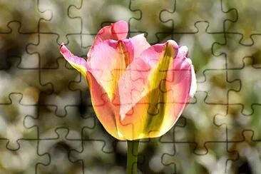 OK jigsaw puzzle