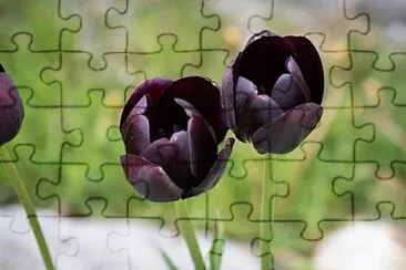 OK jigsaw puzzle