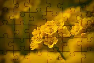 OK jigsaw puzzle