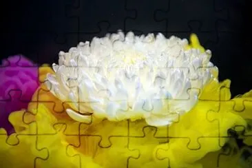 OK jigsaw puzzle