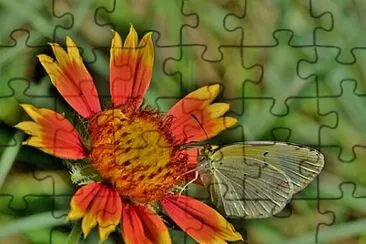 OK jigsaw puzzle