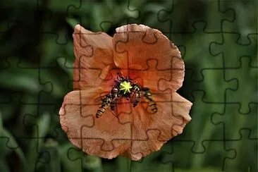 OK jigsaw puzzle