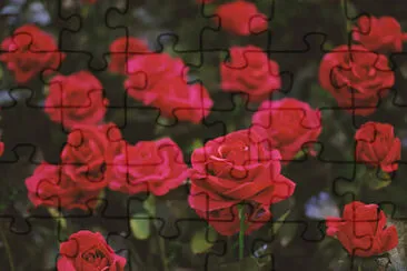 OK jigsaw puzzle