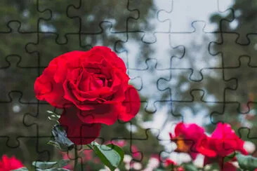 OK jigsaw puzzle