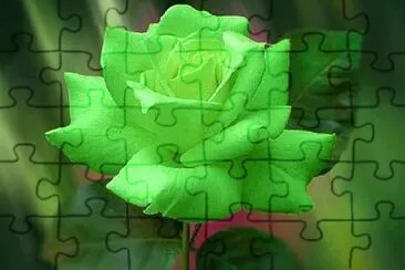 OK jigsaw puzzle