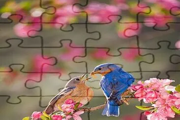 amor jigsaw puzzle