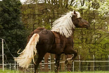 פאזל של Cavalo Floresta Negra