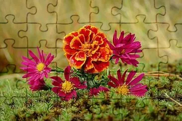 Foto jigsaw puzzle