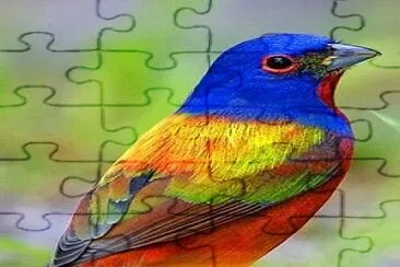 pajaro jigsaw puzzle