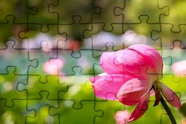 OK jigsaw puzzle