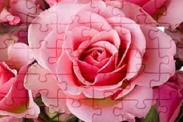 OK jigsaw puzzle